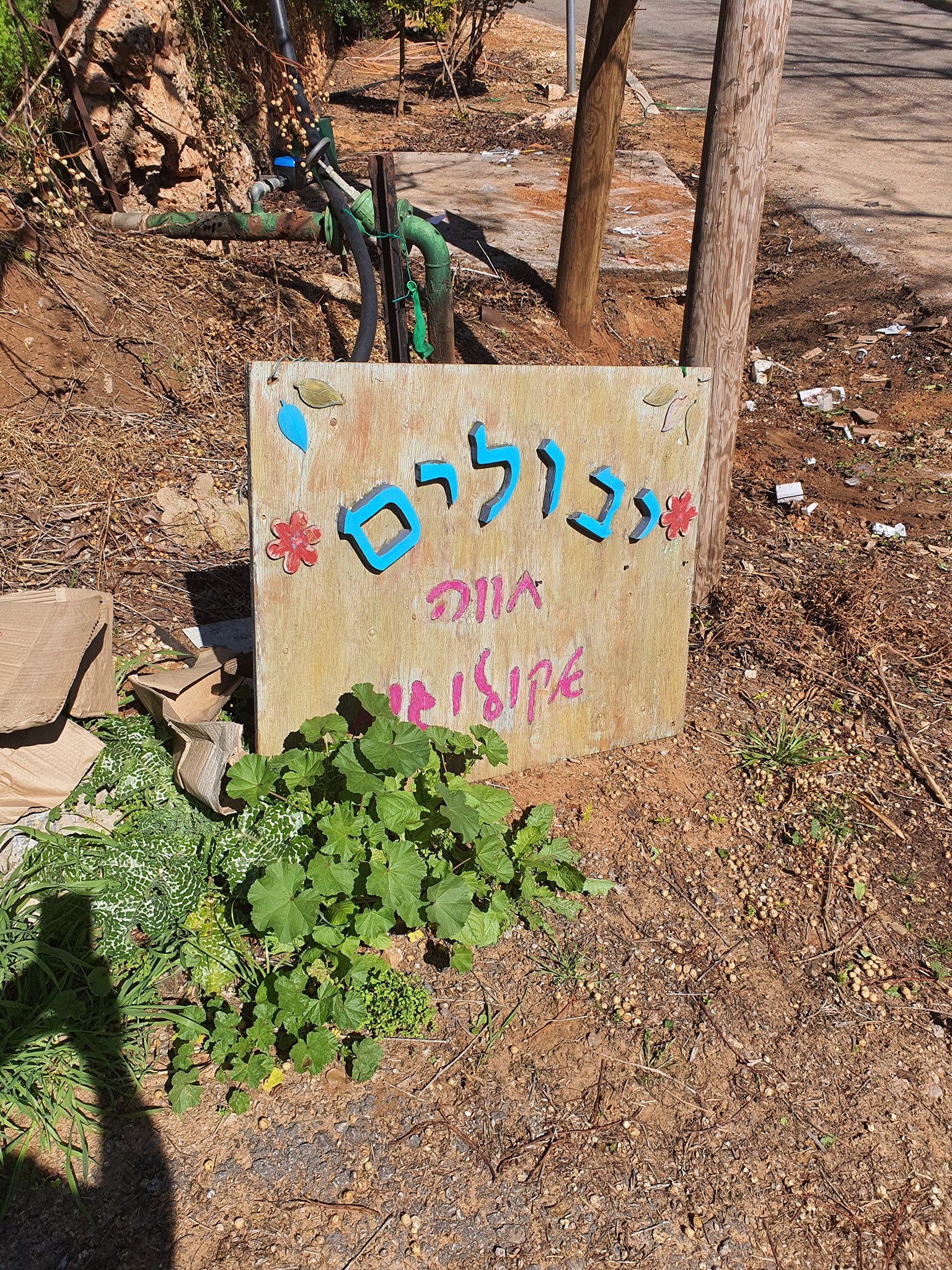 סדנת פיצה בחוות יבולים