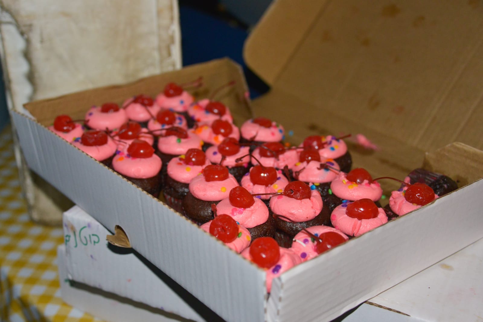 אחה"צ של מוסיקה ופלאפל בכפר עופרים