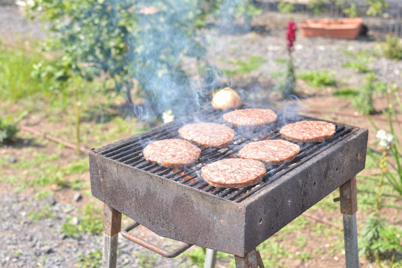 ארוחת המבורגרים במכללה לכישורי חיים