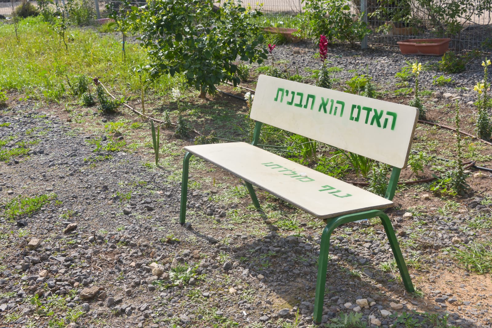 ארוחת המבורגרים במכללה לכישורי חיים