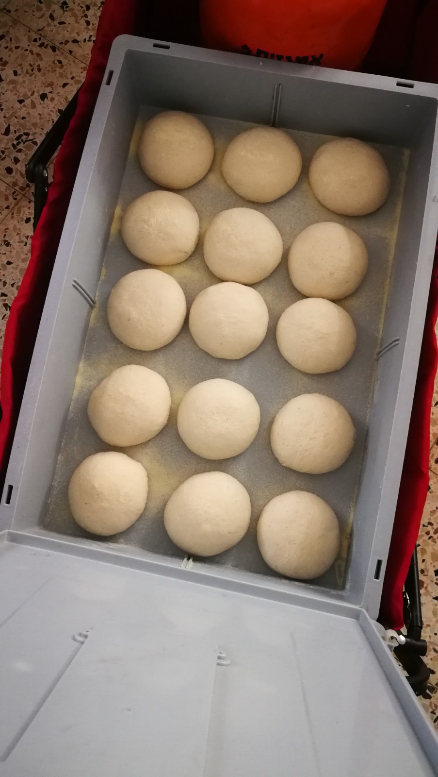 ילדי פרוייקט כפתור והשף צחי בוקששתר