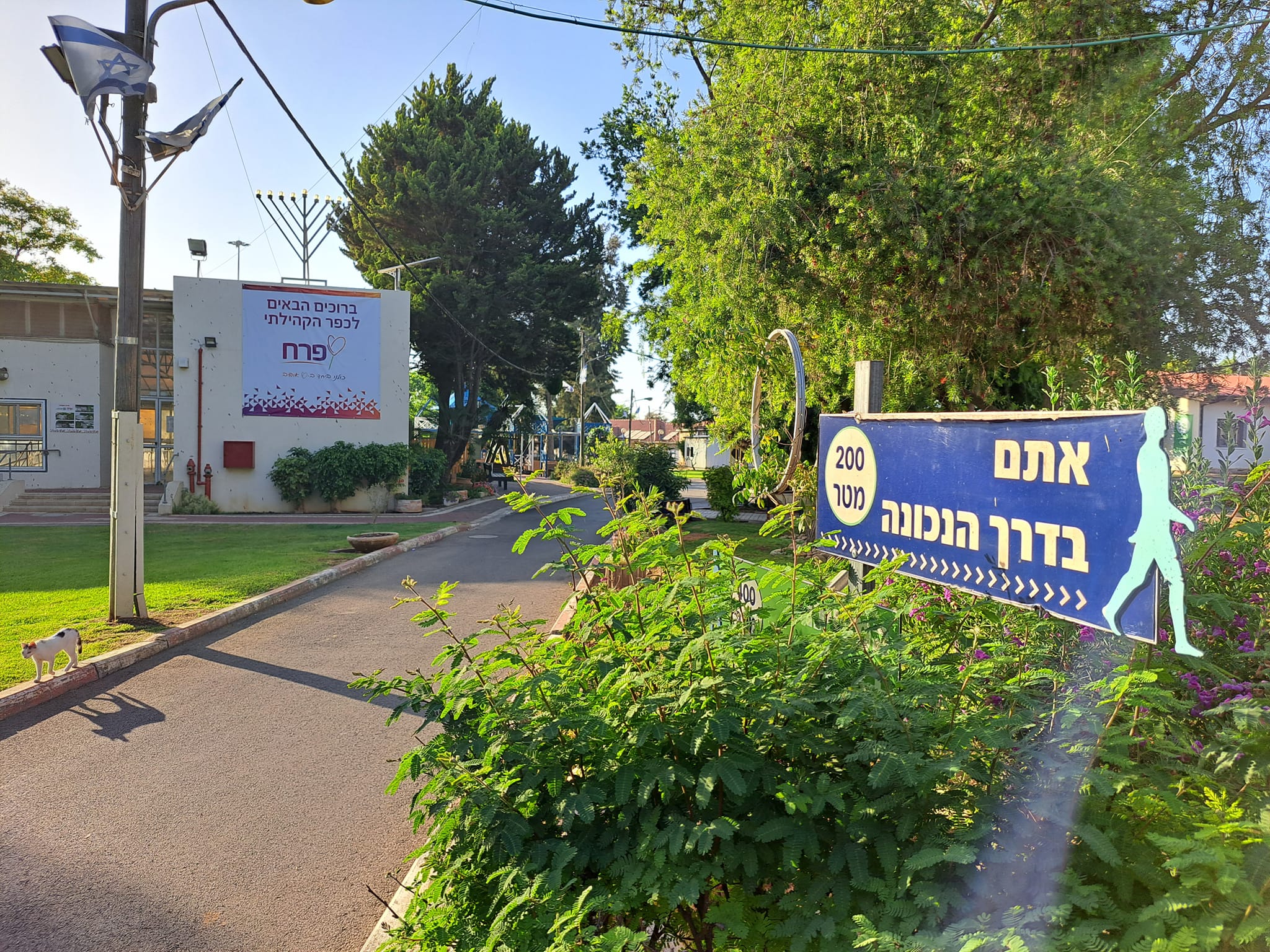 סדנת פיצה עם מבוגרים על הרצף האוטיסטי